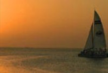 Fury Champagne Sunset Sail